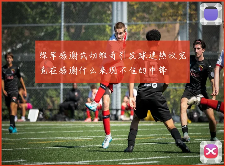 绿军感谢武切维奇引发球迷热议究竟在感谢什么表现不佳的中锋